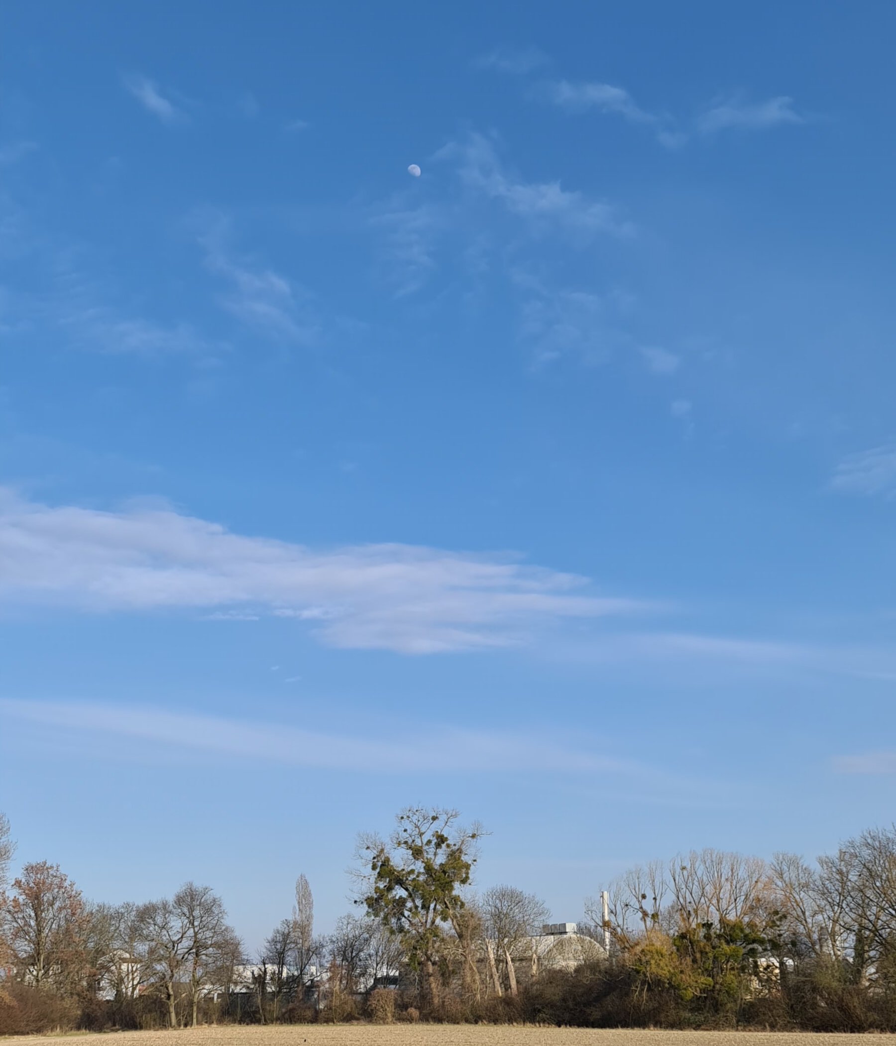 Ein Druidenparadies: