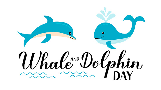 Happy World Whales and Dolphins Day 🐳🐬❣️❣️💚💚