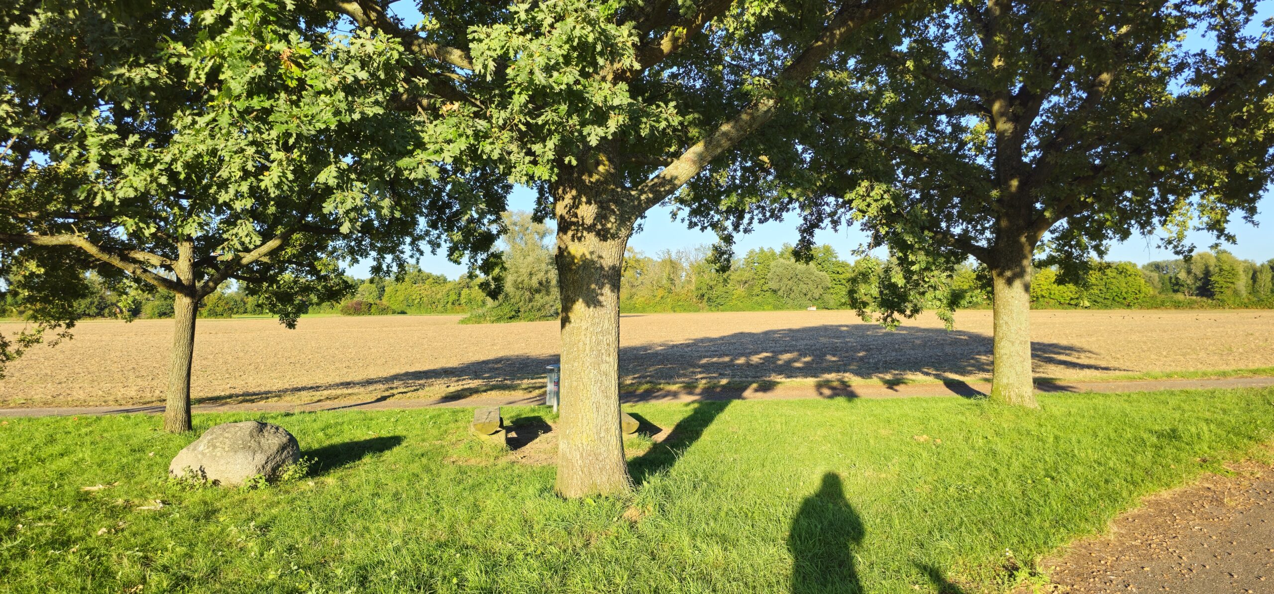 Septemberlicht